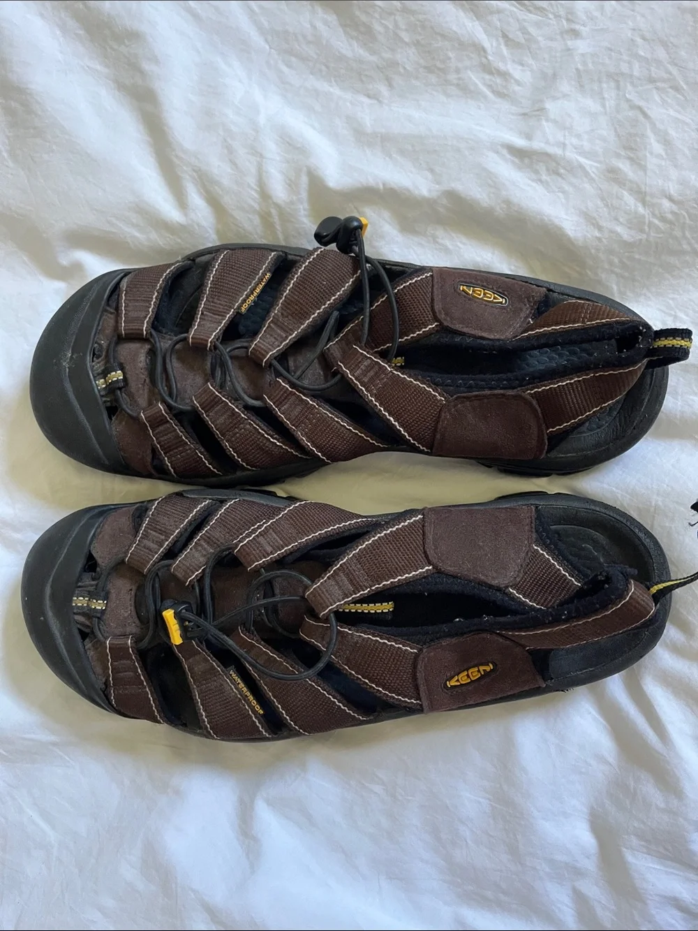 KEEN Newport H2 men's sandals in brown with a bungee cinching system